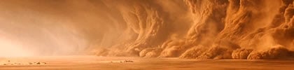 Los chicharros que se han salvado de la tormenta en el desierto