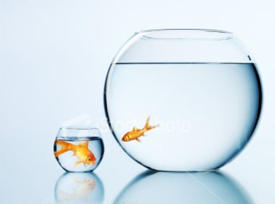 ¿Oportunidades entre grandes y no tan grandes? Ahora sí