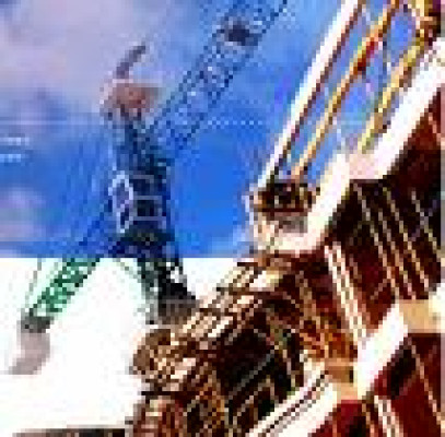 Afirma prevé que la crisis inmobiliaria continúe hasta 2011