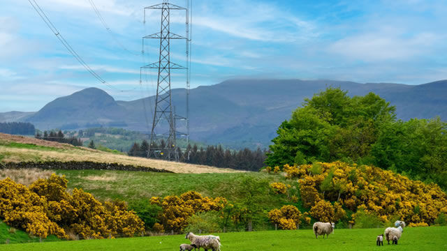 La electricidad distribuida por Iberdrola creció un 7,5% en 2025 por la mayor demanda y la electrificación