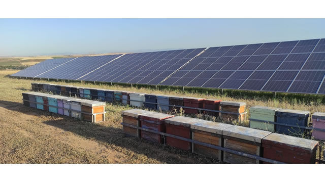 Iberdrola obtiene el sello de excelencia para la sostenibilidad de UNEF en su planta fotovoltaica de Barcience en Bargas (Toledo)