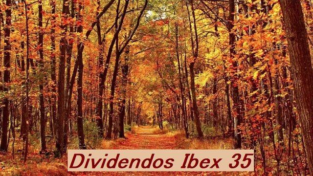 Dividendos del Ibex 35 de noviembre: 5 compañías repartirán 5.700 millones de euros