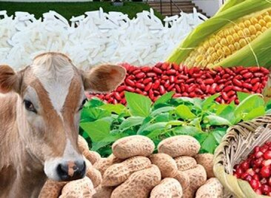 Innovación en el sector agrícola