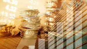 ¿Por qué las empresas de alta calidad tienen un rendimiento superior? ¿Una prima de riesgo o una prima de comportamiento?
