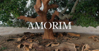 Corticeira Amorim, internacional, exportadora y en crecimiento