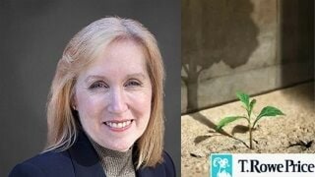 ¿Es ya el momento de las pequeñas compañías americanas?