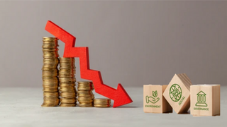 Fuerte caída en la emisión de bonos ESG en 2023
