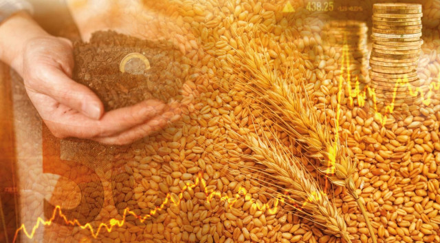 ¿Qué rol juegan las commodities ante un entorno recesivo?