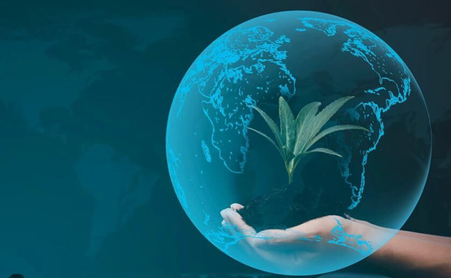 ¿Está preparada su cartera para afrontar el cambio climático?