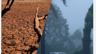 ¿Qué significa el regreso de El Niño para las materias primas?