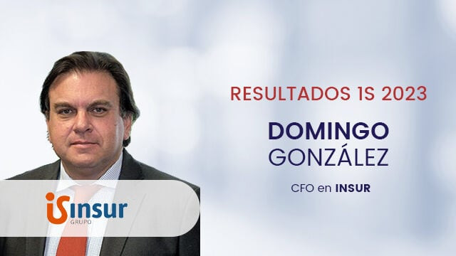 Grupo Insur: 