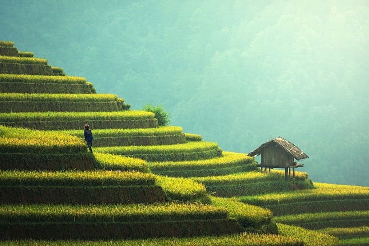 Oportunidades para invertir en la revolución verde de China