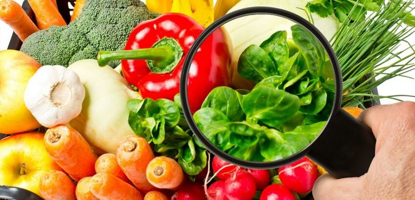 Alimentos para la reflexión durante la COP27 según Fidelity International