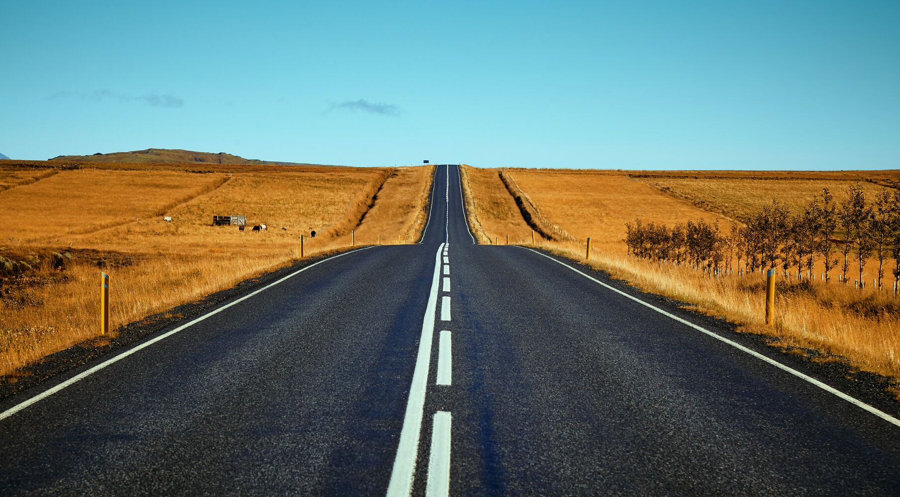 Horizontes de inversión según MFS IM