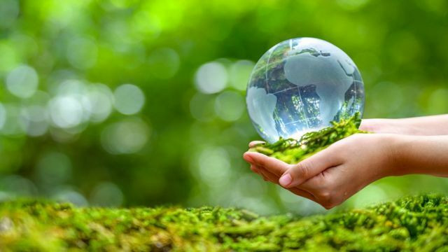 ¿Qué papel pueden desempeñar los bancos centrales en el cumplimiento de los objetivos climáticos?