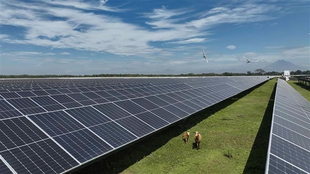 Ecoener logra la máxima calificación climática de S&P Global Ratings