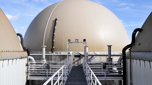 Ence Energía y Celulosa acelera en renovables y prevé triplicar el EBITDA del área en 2030